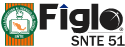 FigloSNTE 51
