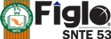 FigloSNTE 53